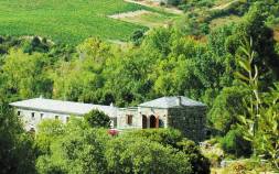 Domaine Casa Albina