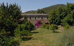 Façade Levente