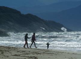 Promenade sur la plage