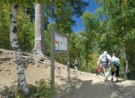 Randonnée en forêt